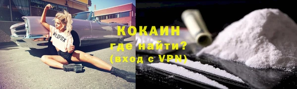 шишки Богородицк