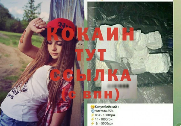 шишки Богородицк