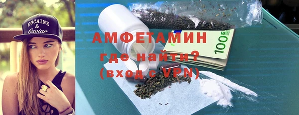 шишки Богородицк